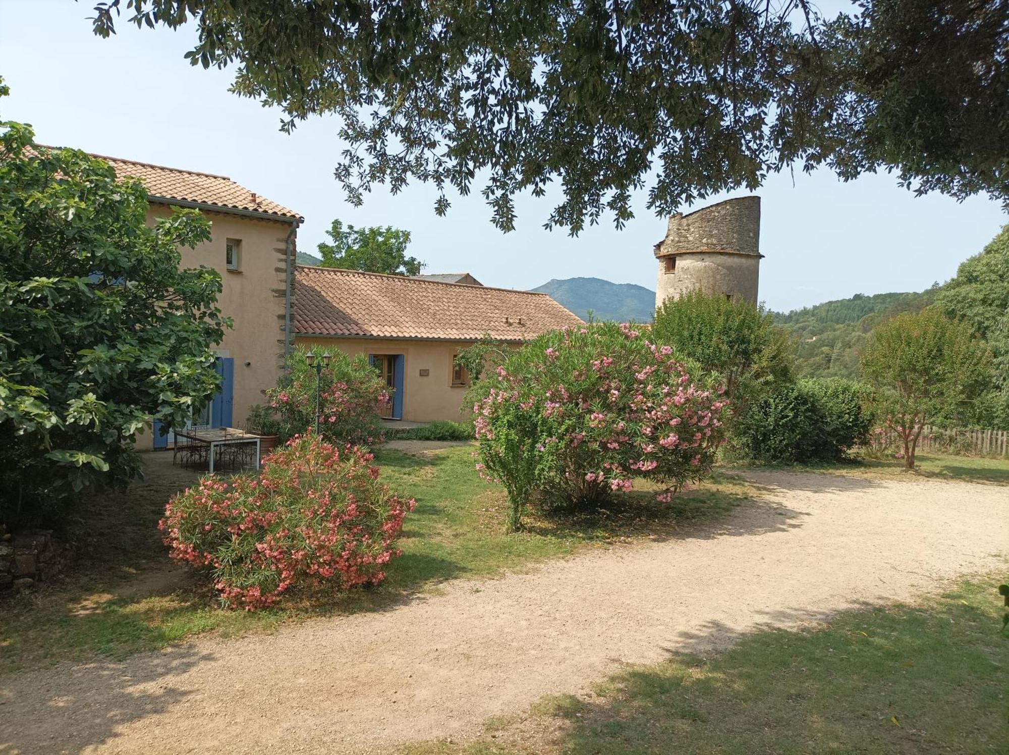 Chateau De Colombieres Sur Orb 외부 사진