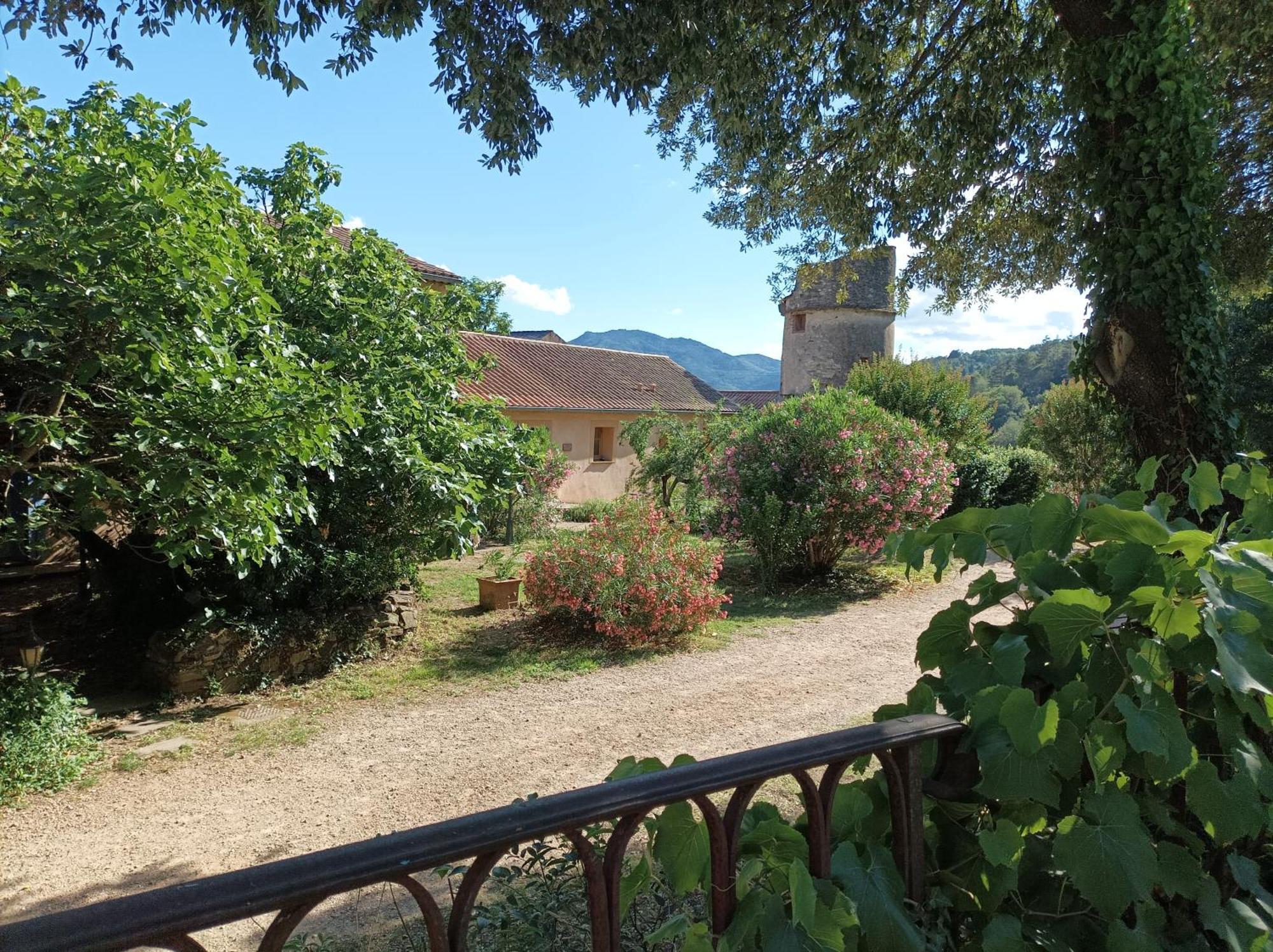 Chateau De Colombieres Sur Orb 외부 사진